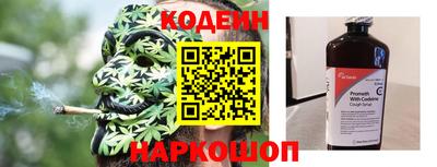 гашик Кингисепп