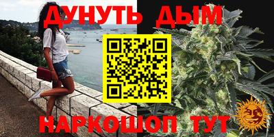 гашик Кингисепп