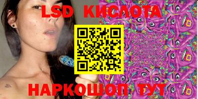 гашик Кингисепп