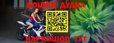 гашик Кингисепп