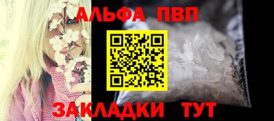 гашик Кингисепп