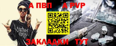 гашик Кингисепп