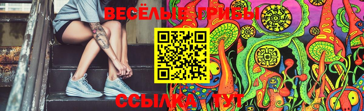 Новошахтинск  Псилоцибиновые грибы Cubensis  Вход с VPN 
