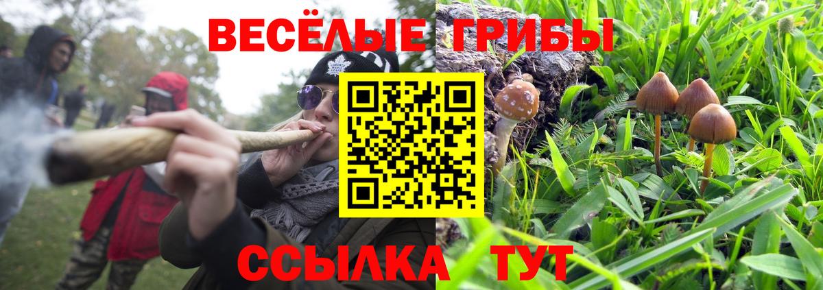 Псилоцибиновые грибы Magic Shrooms Новошахтинск